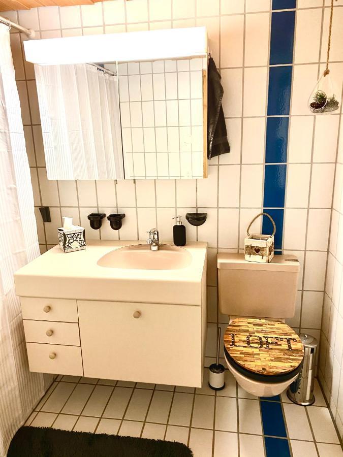 Appartement Aareschlucht- Grandiose Aussicht Fuer 2-6 Pers. Meiringen Εξωτερικό φωτογραφία