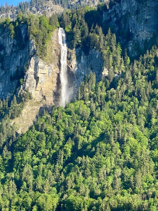 Appartement Aareschlucht- Grandiose Aussicht Fuer 2-6 Pers. Meiringen Εξωτερικό φωτογραφία