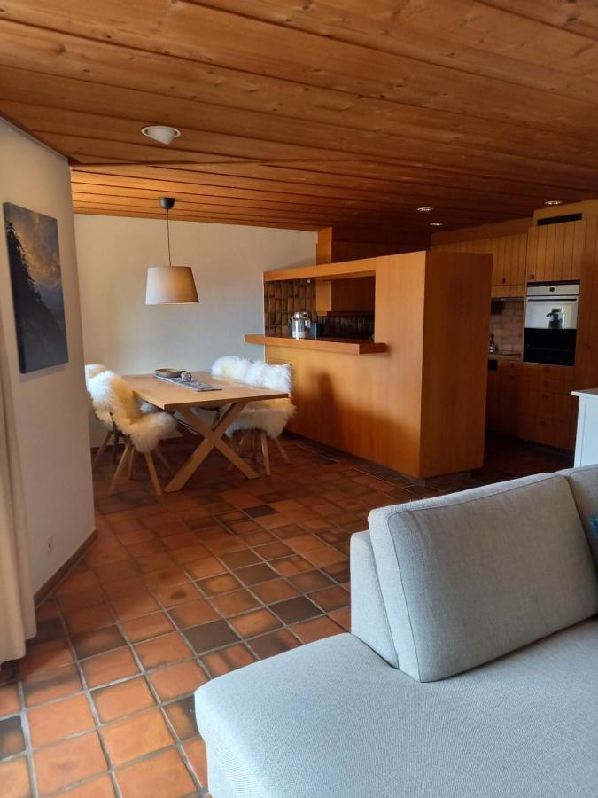 Appartement Aareschlucht- Grandiose Aussicht Fuer 2-6 Pers. Meiringen Εξωτερικό φωτογραφία