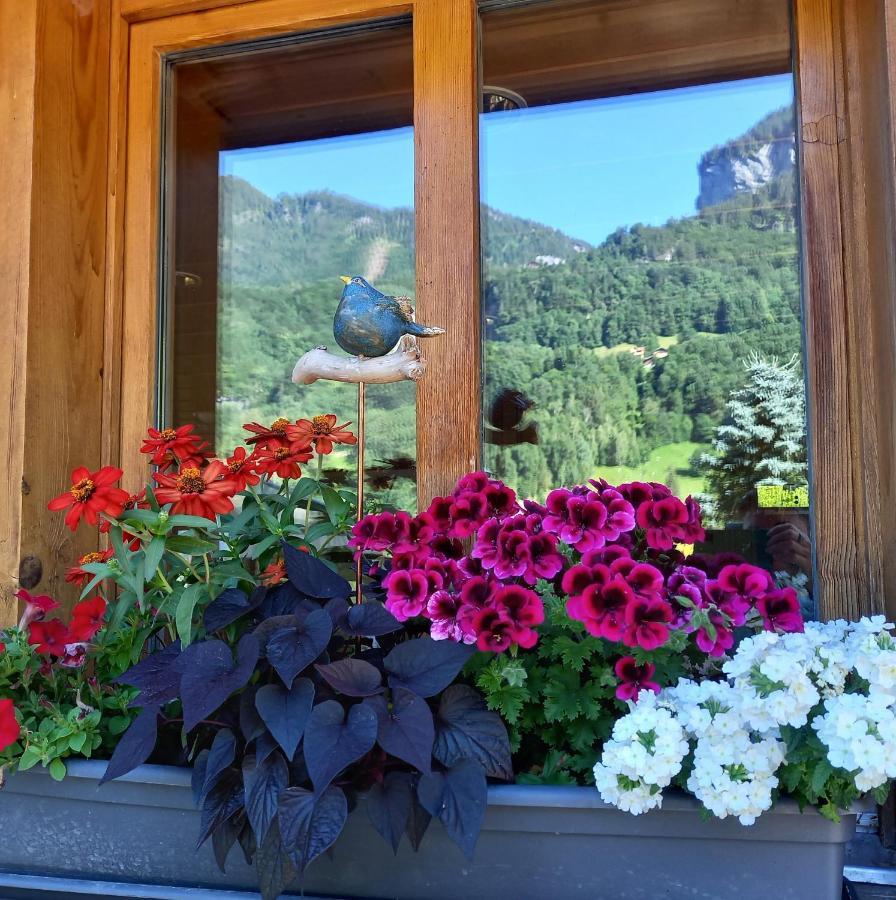 Appartement Aareschlucht- Grandiose Aussicht Fuer 2-6 Pers. Meiringen Εξωτερικό φωτογραφία